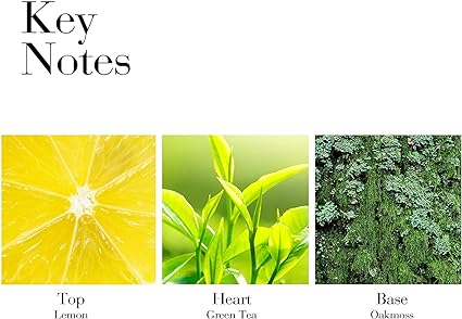 ELIZABETH ARDEN Green Tea Scent Spray | Perfume de Té Verde Eau De Toilette 100ML