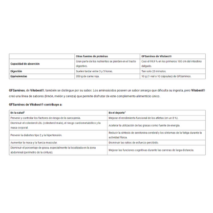 VITOBEST GFS Aminos - 500 gr - Aumenta en un 8 % el rendimiento deportivo - Contribuye a acelerar la síntesis proteica corporal