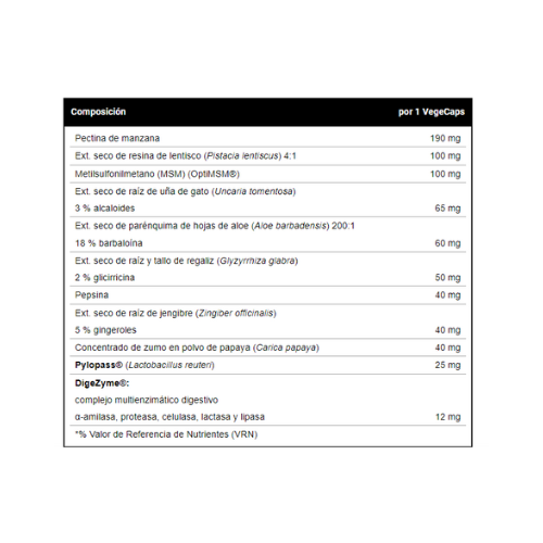 VITOBEST GASTRO SUPPORT - Ayuda a contrarrestar los malestares gástrico-digestivos 60 capsulas